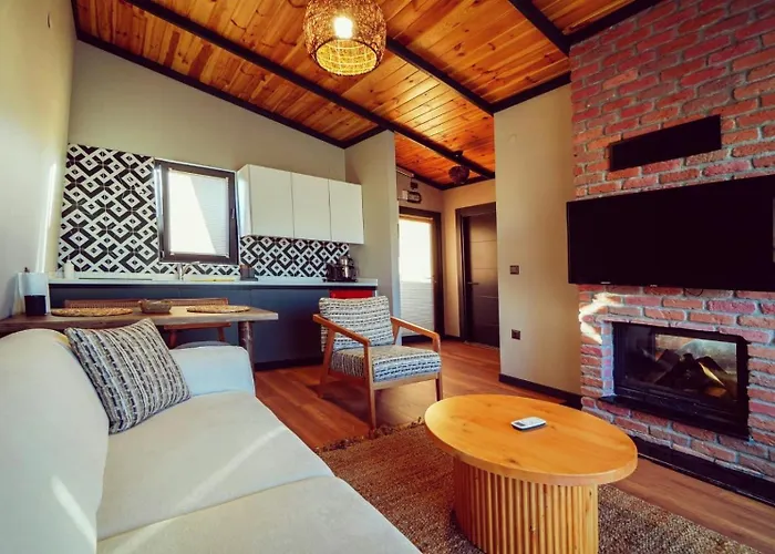 Vital Goel Oezel Havuzlu & 别墅