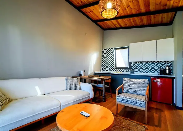 Vital Goel Oezel Havuzlu & 萨潘贾