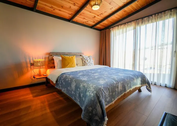 Vital Goel Oezel Havuzlu & 别墅