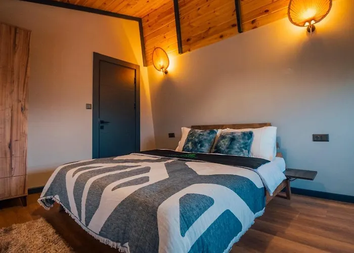 Vital Goel Oezel Havuzlu & 萨潘贾