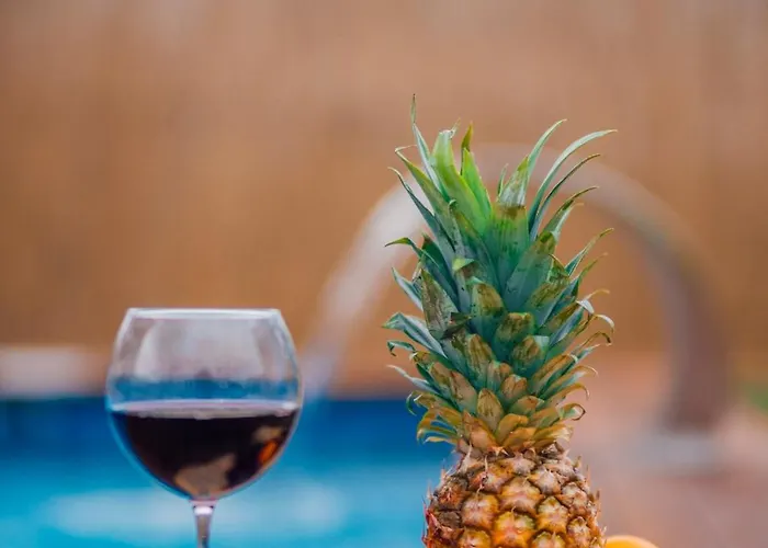 Vital Goel Oezel Havuzlu & * 萨潘贾