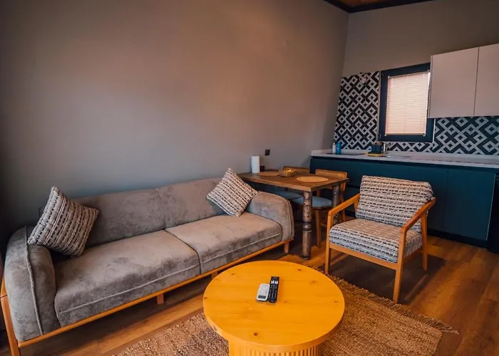 别墅 Vital Goel Oezel Havuzlu &