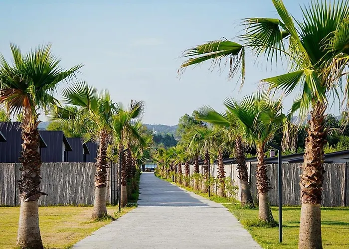 Vital Goel Oezel Havuzlu & 别墅 萨潘贾