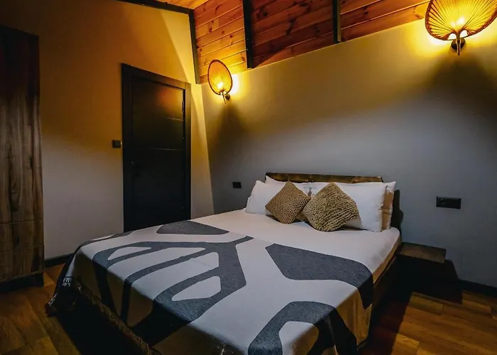 别墅 Vital Goel Oezel Havuzlu & *