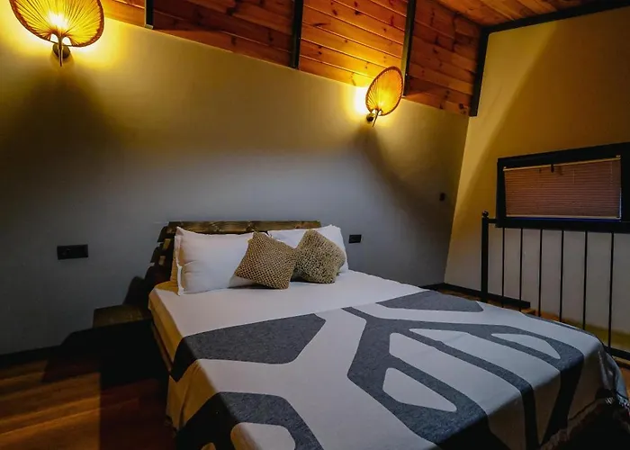 Vital Goel Oezel Havuzlu & 萨潘贾